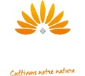 Jardinerie du thtre