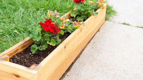 Une jardinière : pourquoi l'utiliser et laquelle choisir ?