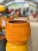 Cancale savane d17 h17