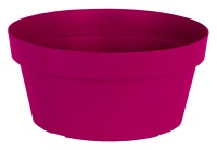 Coupe happy 35h17cm berry