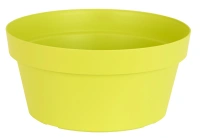 Coupe happy 35h17cm lime