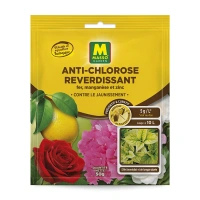 Anti chlorose magma 50g uab