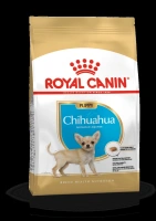 Bhn chihuahua junior 1.5kg