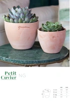 Petite cuvier terre naturelle diam 13.4 haut 10