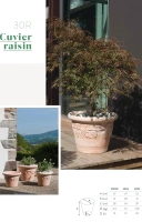 Cuvier raisin 37x28cm terre rosee