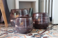 Cancale chataigne d21 h21