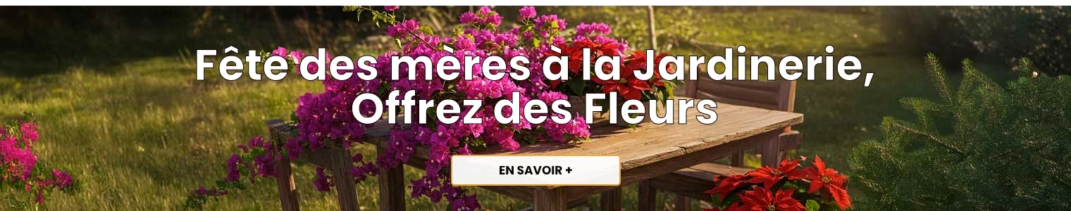 Fte des mres