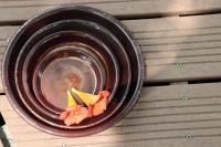 Soucoupe chataigne d41