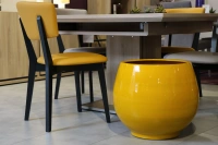 Bahia ibiza sunshine d43 h46