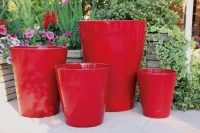 Sydney coquelicot d45 h61