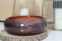 Plume chataigne d20 h9