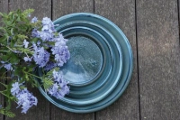 Soucoupe blue wave d41