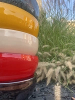 Nymphea mix de 12 d28 h8