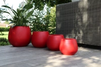 Cancale intrigue d14 h14