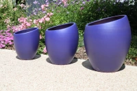 Orion bleu electrique d29 h40