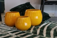 Cancale ibiza sunshine d17 h17