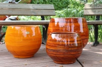 Bahia savane d43 h46