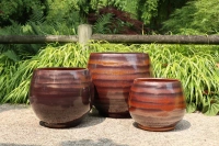 Bahia chataigne d25 h31