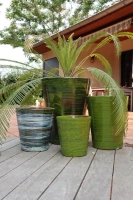 Sydney foret d45 h61