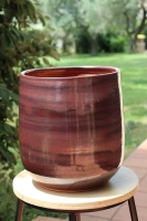 Saintropp chataigne d23 h26