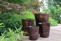 Sydney chataigne d33 h35