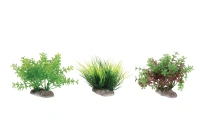 Plante aquatique assortiment b
