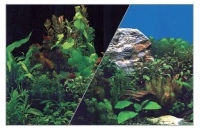 Fond decor noir/plant h40 l60