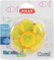 Decor sweetyfish corail