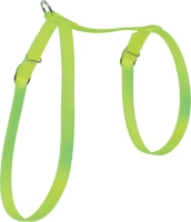 Harnais nylon chat anis