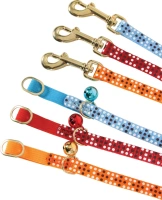 Laisse nyl chat colorful 1m ble