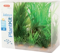 Plantkit jalaya n°1