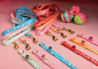 Laisse reflectif coeur chat 1m r