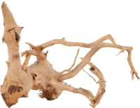 Racine araignee 10-30cm