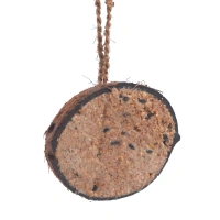 Demi coco graisse baies 250g