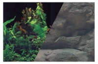 Fond decor noir/roc h60 l120