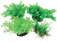 Aeroplant dif vert m