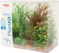 Plantkit jalaya n°4