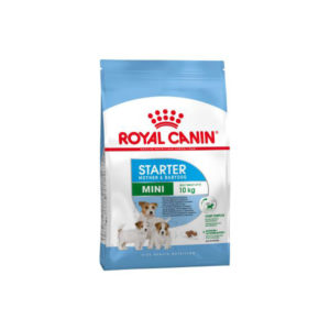 Croquettes chiot Royal Canin Mini Starter