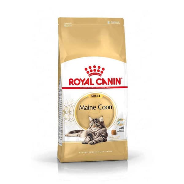 Royal Canin Maine Coon pour chat