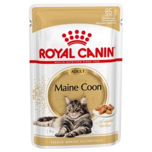 Royal Canin Maine Coon Adult en sauce
