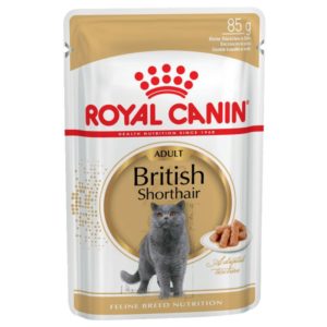 Royal Canin British Shorthair Adult en sauce