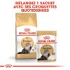 Royal Canin Persan Adult mousse