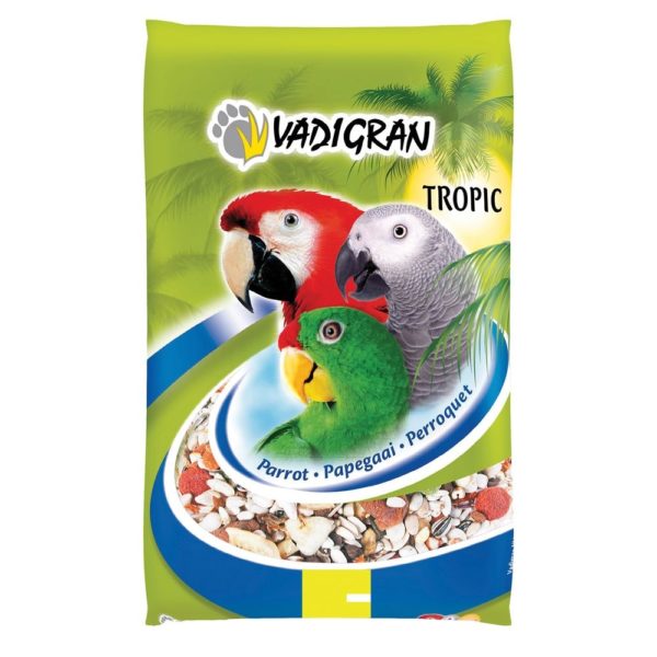 Graines perroquet tropical