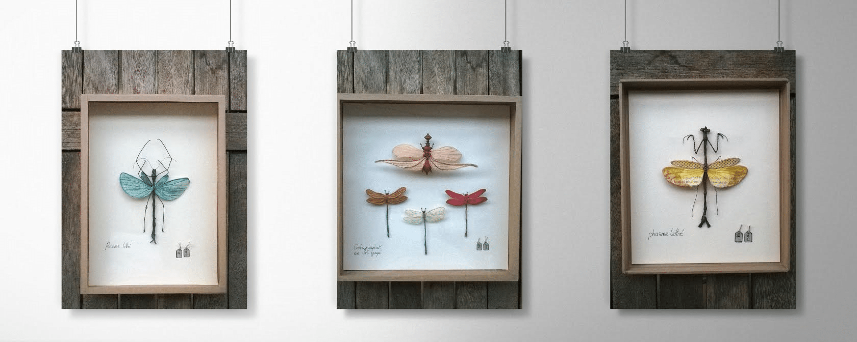 Les tableaux d'insecte fabriqué avec du fil, tissu et papier de Mérope l'Étang