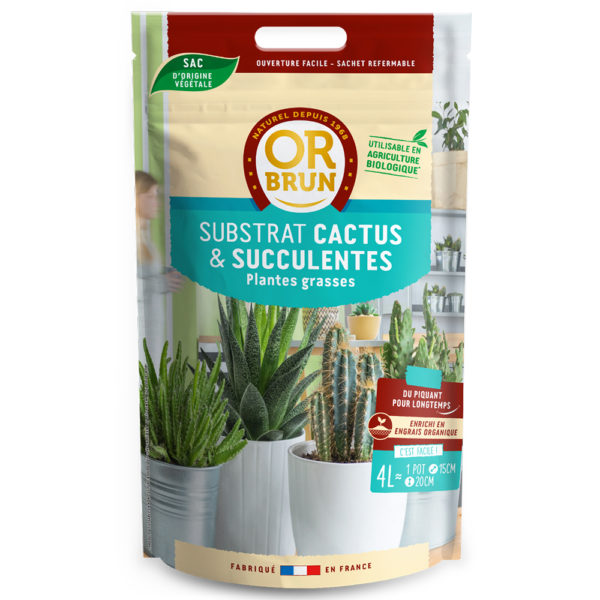Substrat cactus et plantes succulentes Or Brun