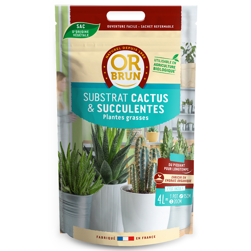 Comment entretenir les cactus et plantes grasses ? - Jardiland