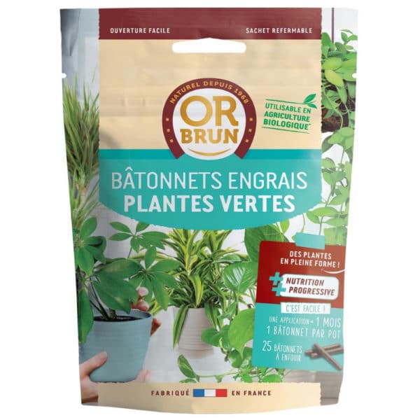 Bâtonnets engrais plantes vertes Or Brun