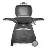 Barbecue à gaz Weber® Q 3200