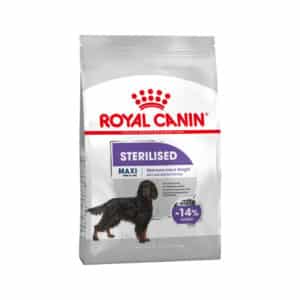 Royal Canin Maxi sterilised pour chien