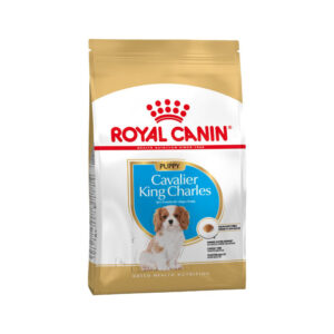Royal Canin Cavalier King Charles Puppy pour chiot